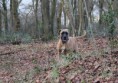 /album/keistad-amy/kleine-bos-7-jpg/